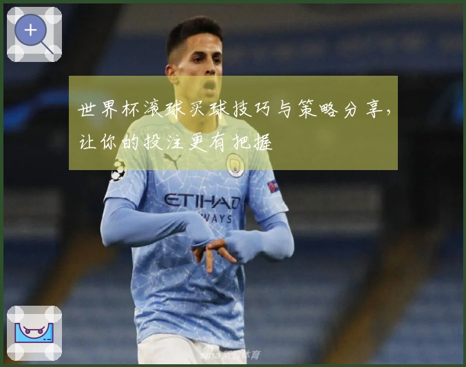 世界杯滚球买球技巧与策略分享，让你的投注更有把握
