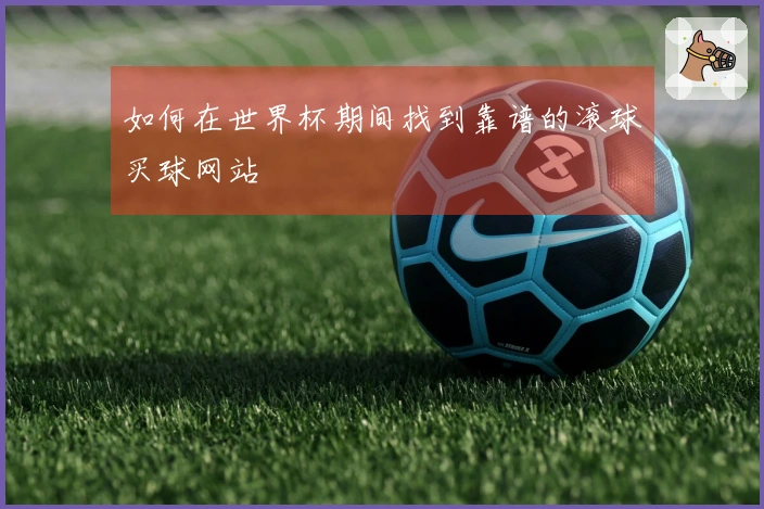 如何在世界杯期间找到靠谱的滚球买球网站