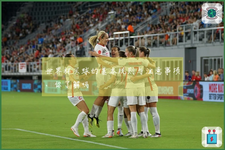 世界杯买球的基本规则与注意事项，你了解吗