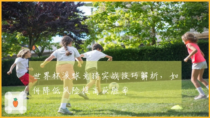世界杯滚球竞猜实战技巧解析，如何降低风险提高获胜率