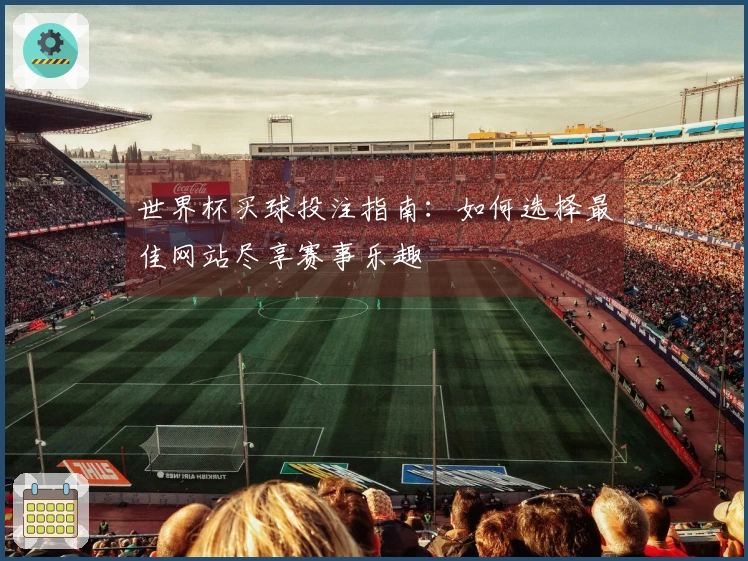 世界杯买球投注指南：如何选择最佳网站尽享赛事乐趣
