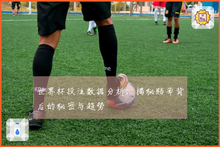 世界杯投注数据分析：揭秘赔率背后的秘密与趋势