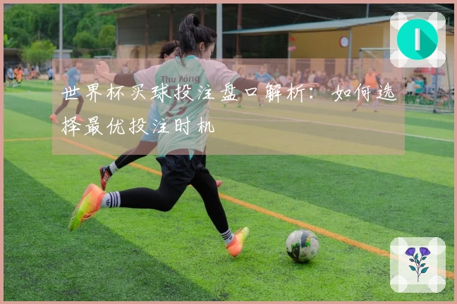 世界杯买球投注盘口解析：如何选择最优投注时机