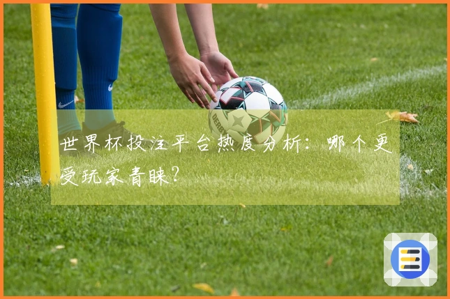 世界杯投注平台热度分析：哪个更受玩家青睐？