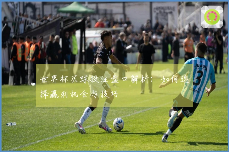世界杯买球投注盘口解析：如何选择赢利机会与技巧