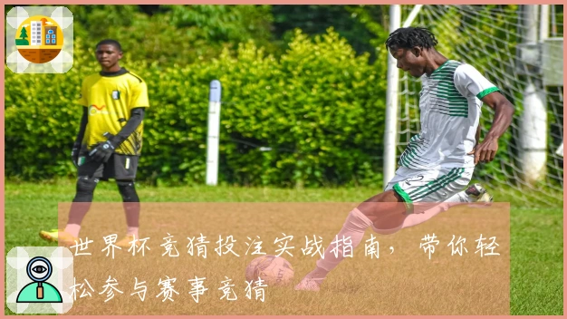 世界杯竞猜投注实战指南，带你轻松参与赛事竞猜