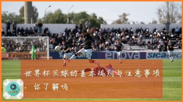 世界杯买球的基本规则与注意事项，你了解吗