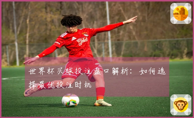 世界杯买球投注盘口解析：如何选择最优投注时机