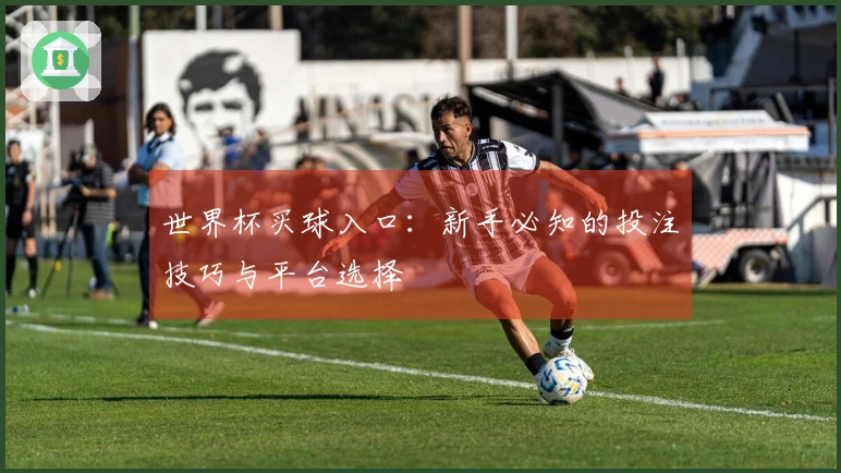 世界杯买球入口：新手必知的投注技巧与平台选择