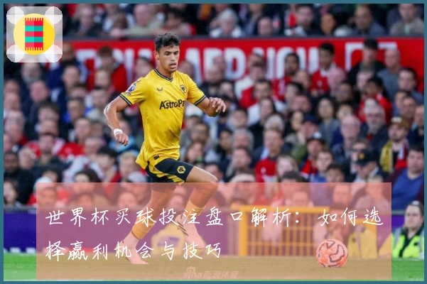 世界杯买球投注盘口解析：如何选择赢利机会与技巧