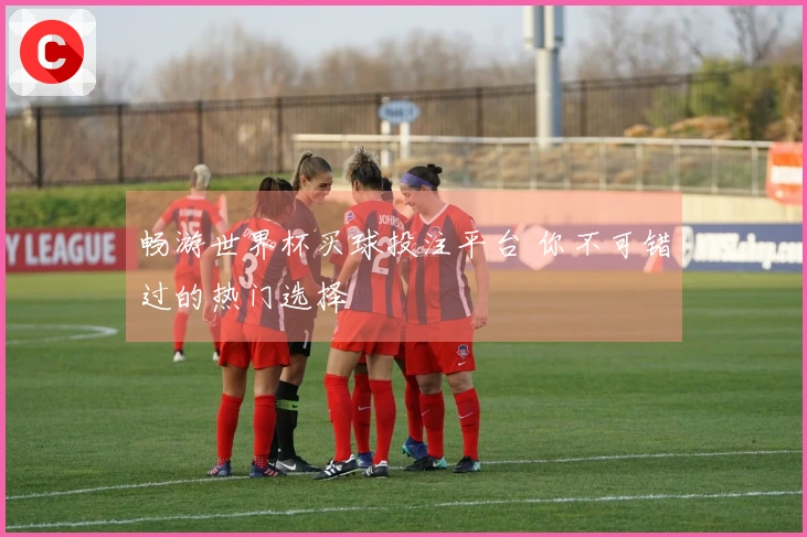 畅游世界杯买球投注平台 你不可错过的热门选择
