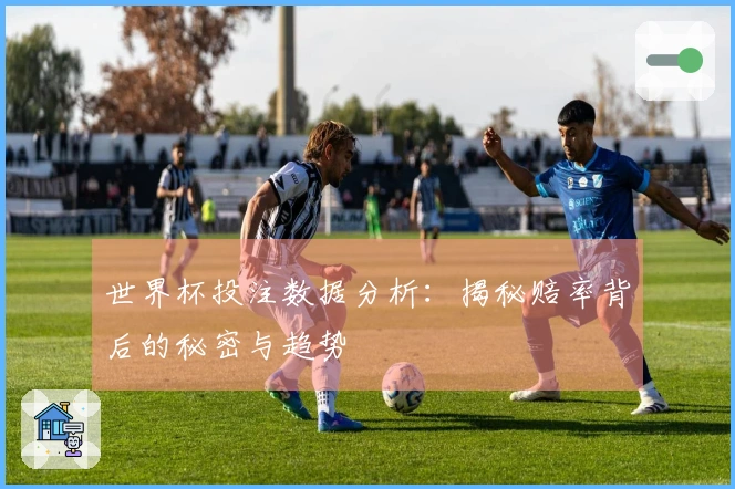 世界杯投注数据分析：揭秘赔率背后的秘密与趋势