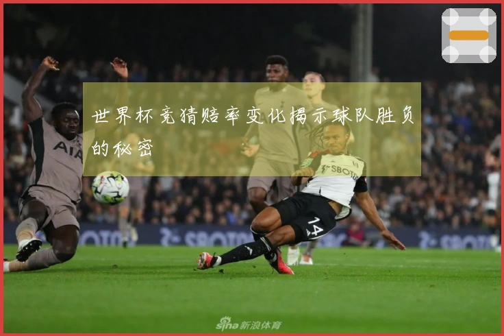 世界杯竞猜赔率变化揭示球队胜负的秘密