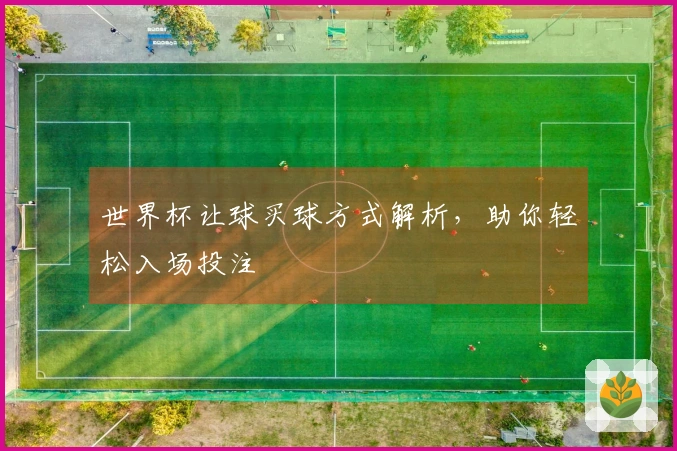 世界杯让球买球方式解析，助你轻松入场投注